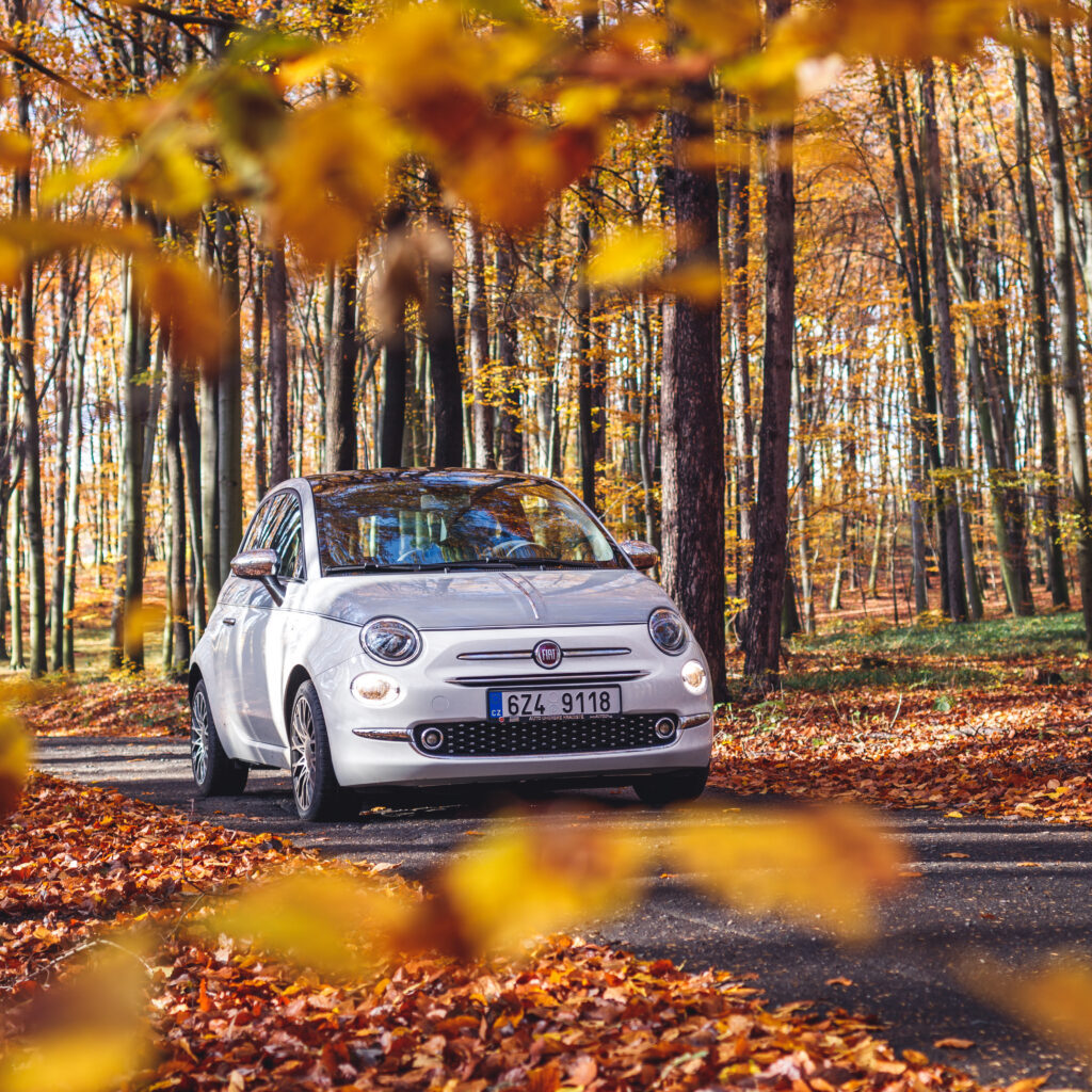 Fiat 500 Collezione driving on country road in autumn forest. Travel by small car
